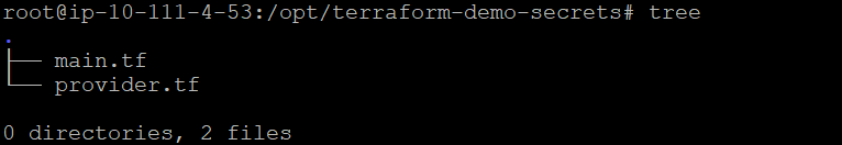 Checking all the files in terraform-demo-secrets folder
