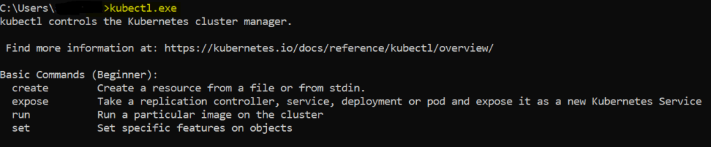 Running kubectl binary