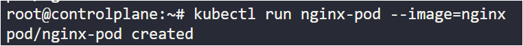 Running kubectl run command to create a new Pod.