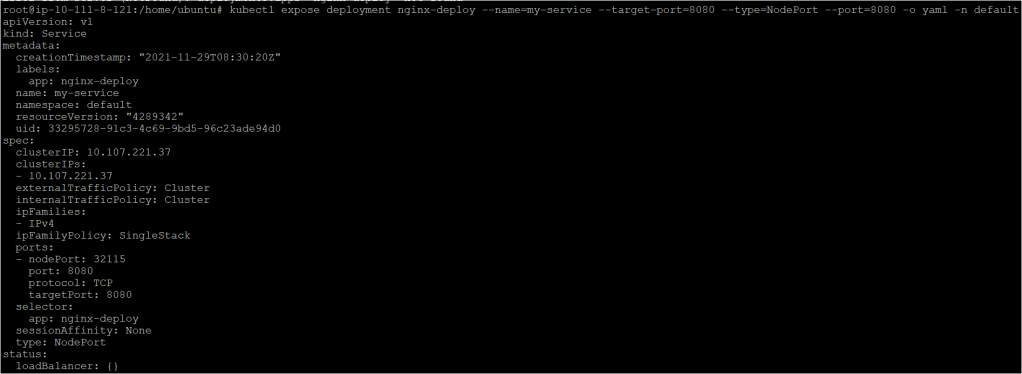 Kubernetes NodePort service