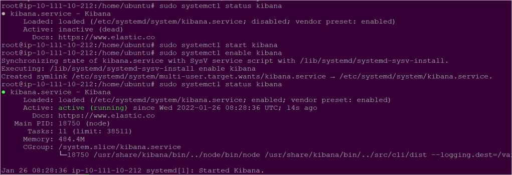 starting and enabling the Kibana service
